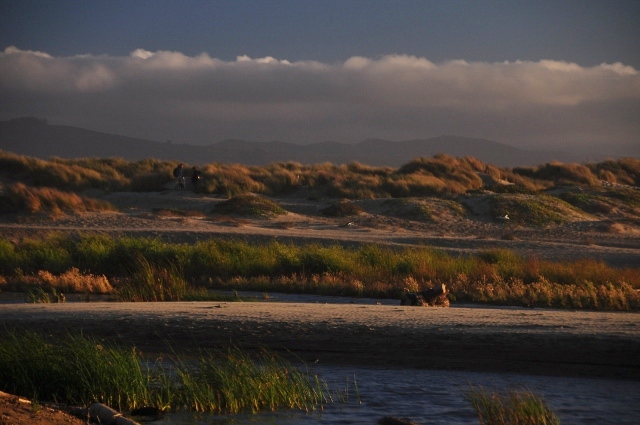 Morro Bay wetlands